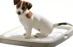 Savic puppy trainer medium, starterkit