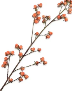 Silk-ka kunsttak braam 113cm oranje