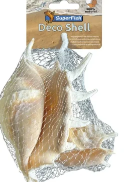 Superfish Aquariumdecoratie schelp spider 150GRM