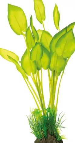 SuperFish Art Plant 40 cm Echinodorus