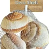 Superfish decoratie schelpen gestreept XL