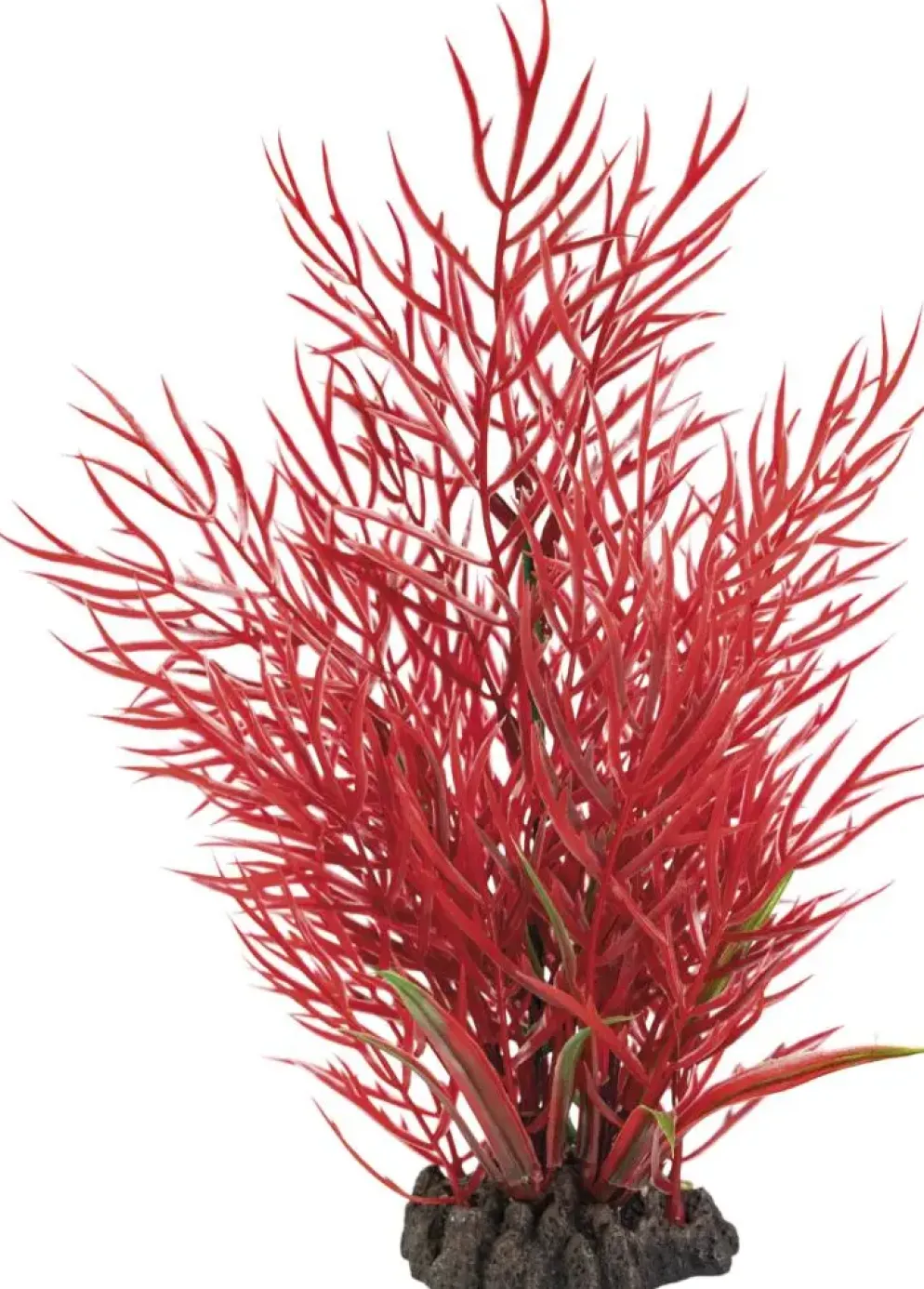 Superfish kunstplant ludwigia 25cm