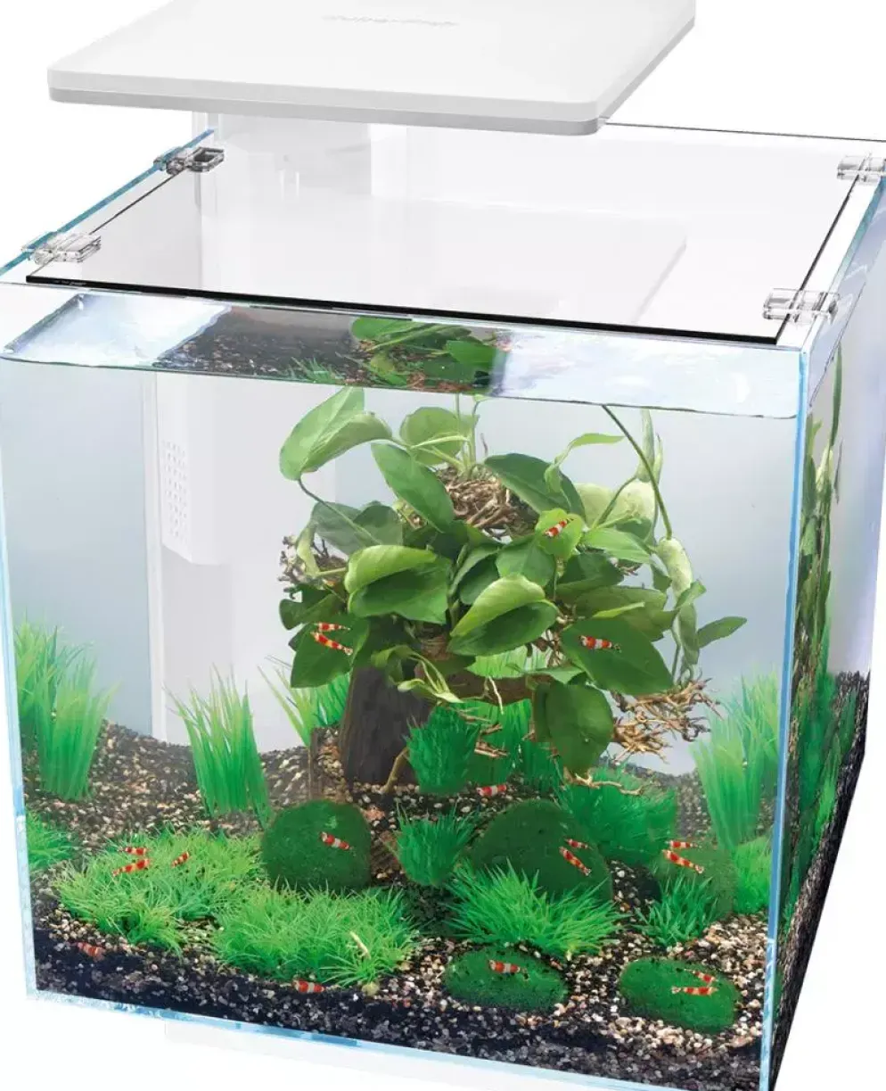 Superfish Qubiq 30 pro wit