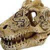 Superfish Skull t rex s