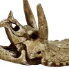 Superfish Skull triceratops m