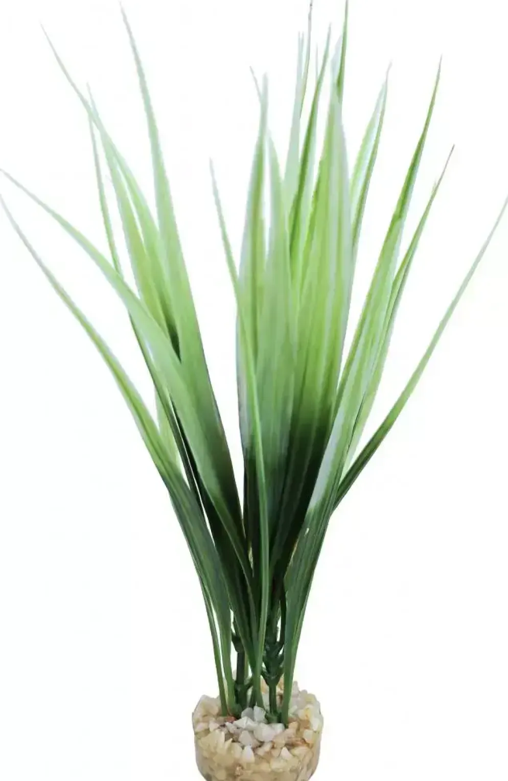 Sydeco kunststofplant Oasis Baby, 18 cm