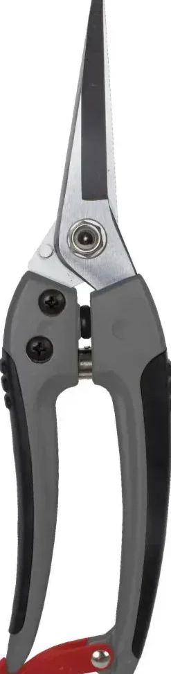 Talen Tools bloemenschaar premium 21 cm