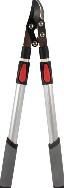 Talen tools takkenschaar voorbijsnijdend telescopisch premium 66-99 cm