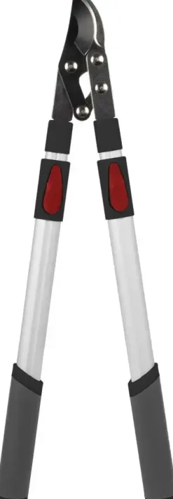 Talen tools takkenschaar voorbijsnijdend telescopisch premium 66-99 cm