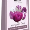 Tas We Love Tulips, Purple Love met 20 tulpenbollen