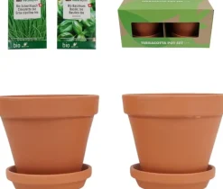 Terracotta Pot Set met Bieslook- en Basilicumzaden – 13,5 x 13,5 x 12,5 cm
