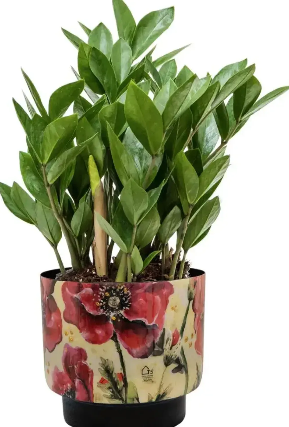 Ter Steege bloempot Camelia Poppy 17x17 cm