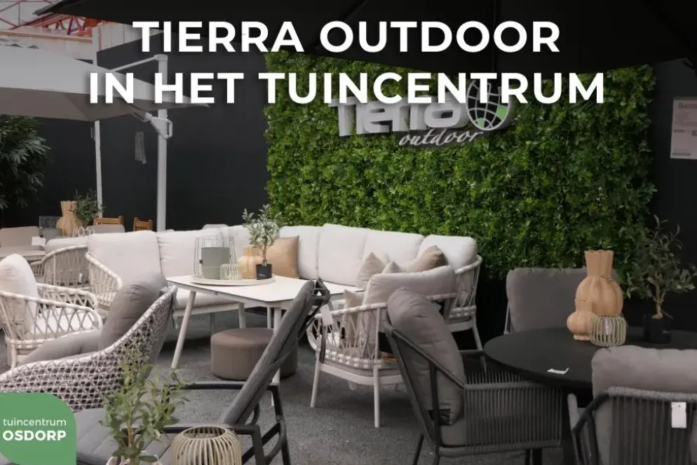 Tierra Outdoor loungebank liv champagne