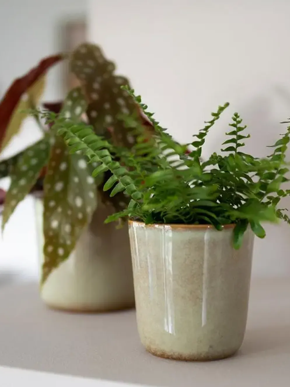 TS Collection bloempot hedy keramiek 11x12cm thyme