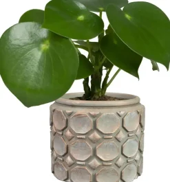 TS Collection bloempot jurre steen 16x13cm roze