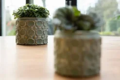 TS Collection bloempot jurre steen 16x13cm groen