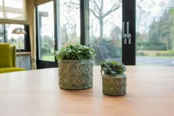 TS Collection bloempot jurre steen 14x11cm groen