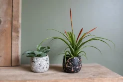 TS Collection bloempot tina steen 8x7cm terrazo grey