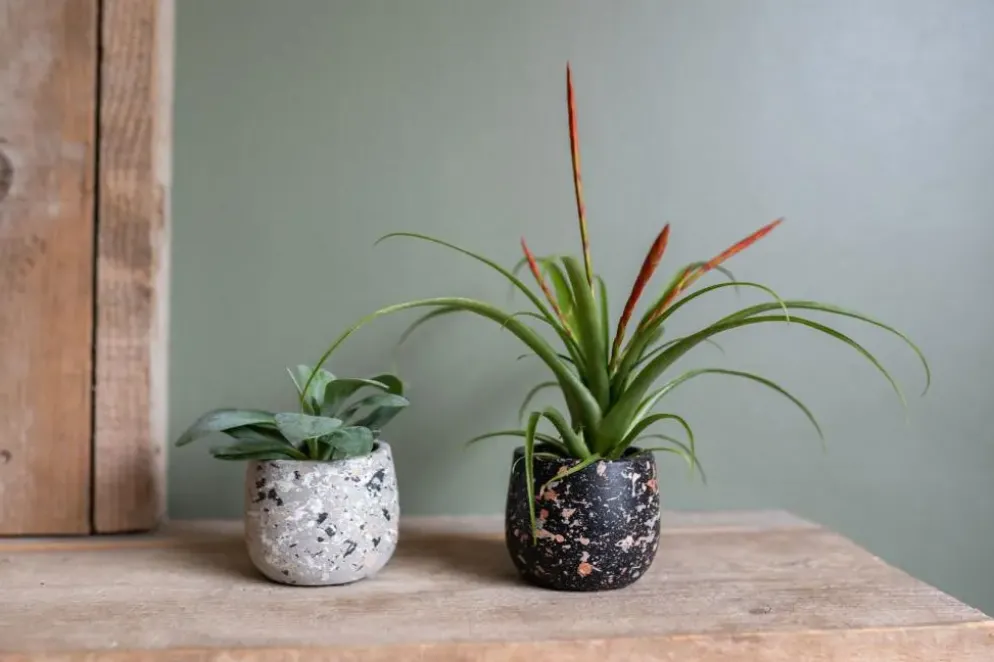 TS Collection bloempot tina steen 8x7cm terrazo black