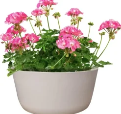 TS Collection Bowl Palermo 27x12 cm Wit