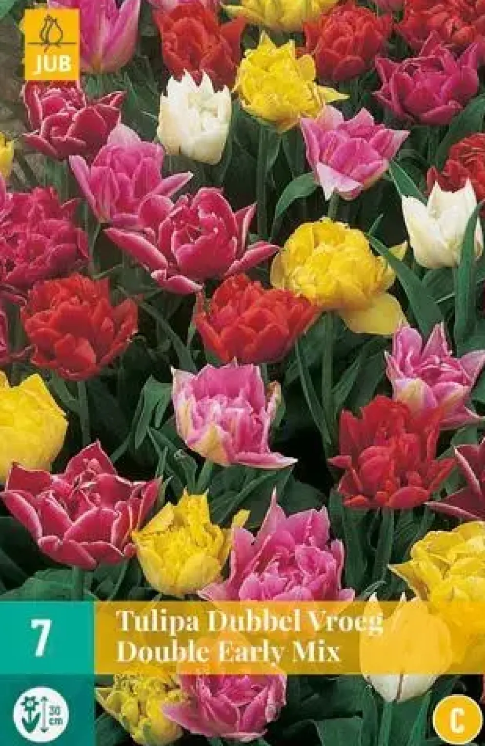 Tulipa Dubbel Vroeg mix 7 tulpenbollen