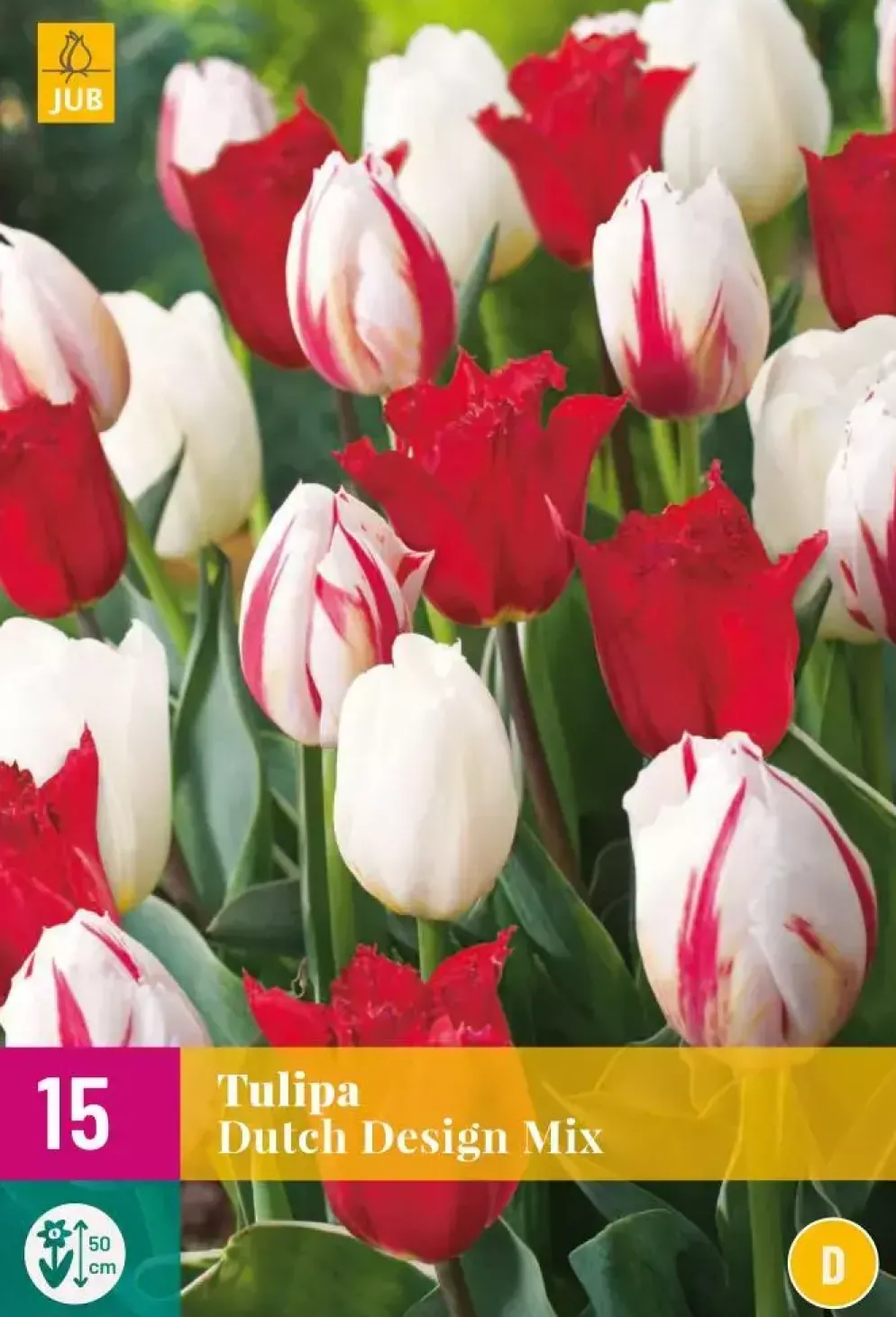 Tulipa Dutch Design Mix 15 tulpenbollen