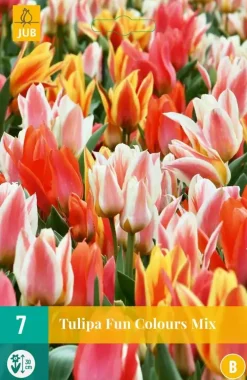 Tulipa Fun Colours 7 tulpenbollen