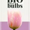 Tulipa salmon impression 7 bloembollen biologisch geteeld
