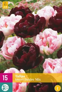 Tulipa Sweet Desire mix 15 tulpenbollen