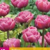 Tulpen double lilac 15st