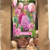Tulpen, Hyacinten 'Pink blush' 25 stuks