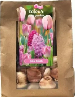 Tulpen, Hyacinten 'Pink blush' 25 stuks