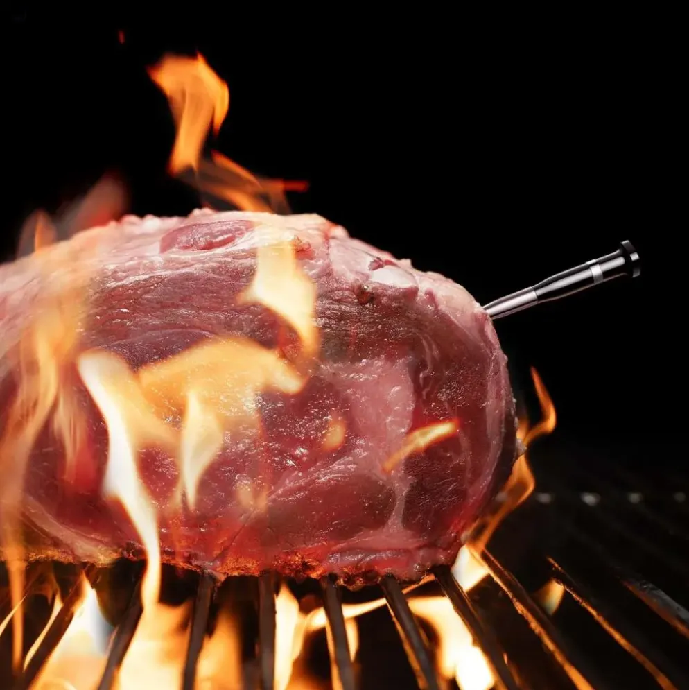 Typhur BBQ thermometer Sync One