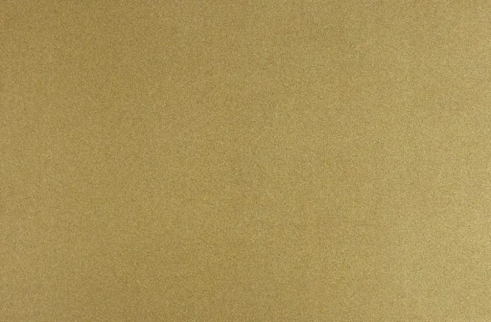 Unique Living placemat twinkle 28.5x43cm gold