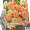 Urban flowers - sweet lingery 10 stuks