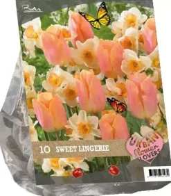 Urban flowers - sweet lingery 10 stuks