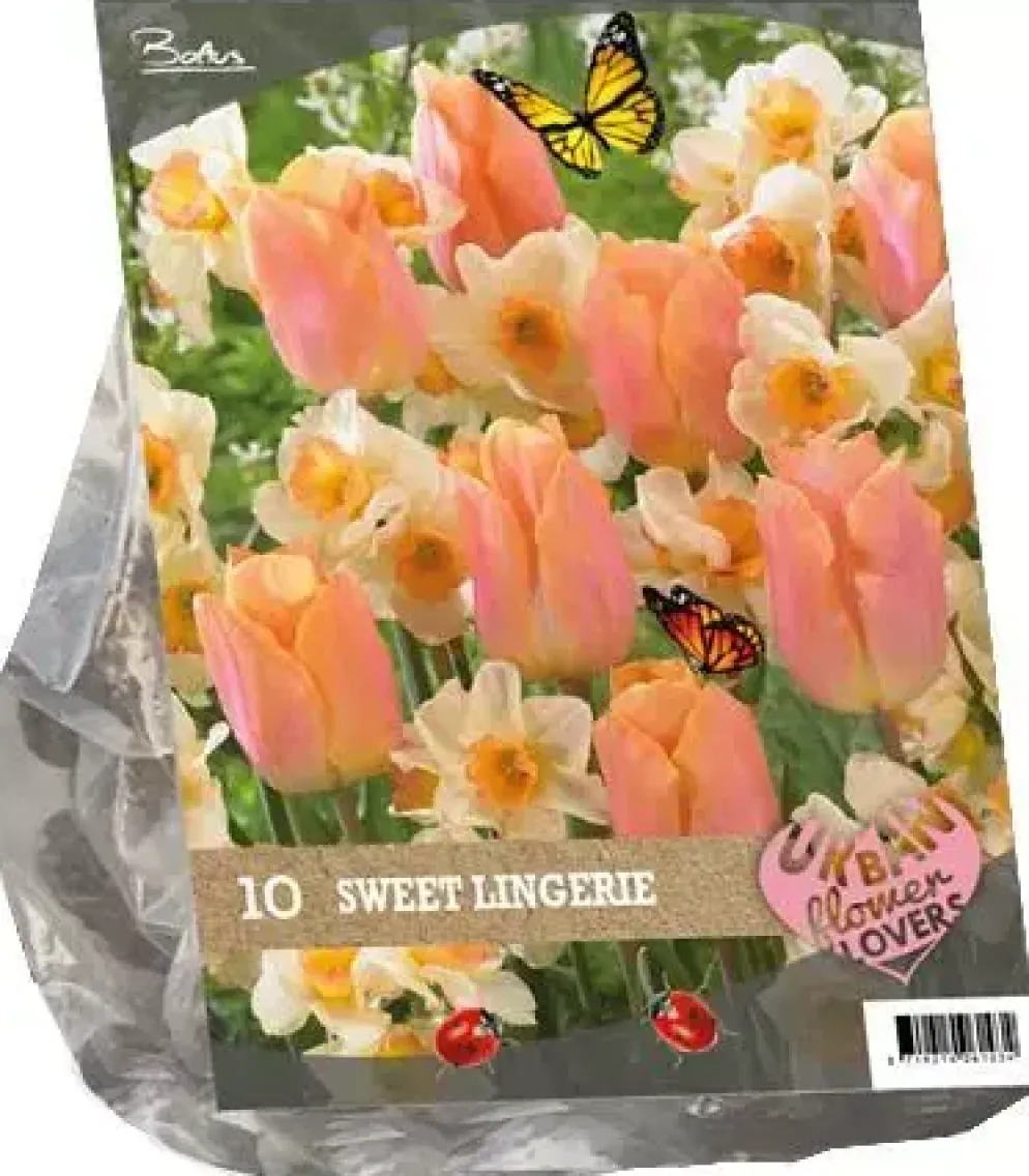 Urban flowers - sweet lingery 10 stuks