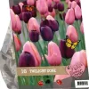Urban flowers - twilight zone 16 stuks