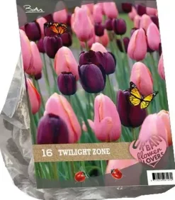 Urban flowers - twilight zone 16 stuks