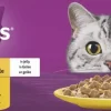 WHISKAS Natvoer voor volwassen katten 80*85g multipack