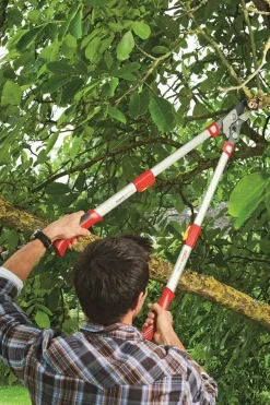 Wolf Garten Takkenschaar aambeeld rs900t