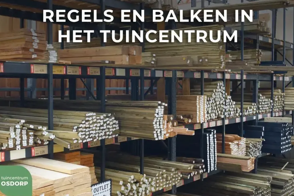 Woodvision grenen afdeklat geschaafd 3,5x8,5x180 cm geimpregneerd