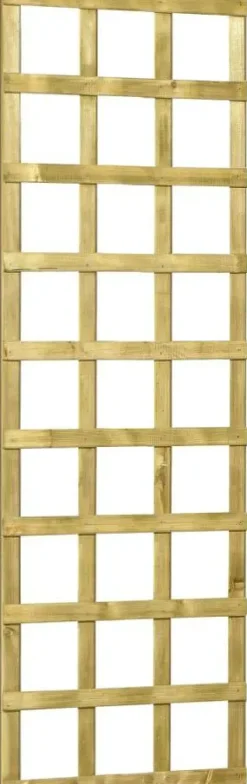 Woodvision grenen trellis robuust 60x180 cm geimpregneerd