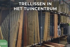 Woodvision grenen trellis robuust 60x180 cm geimpregneerd