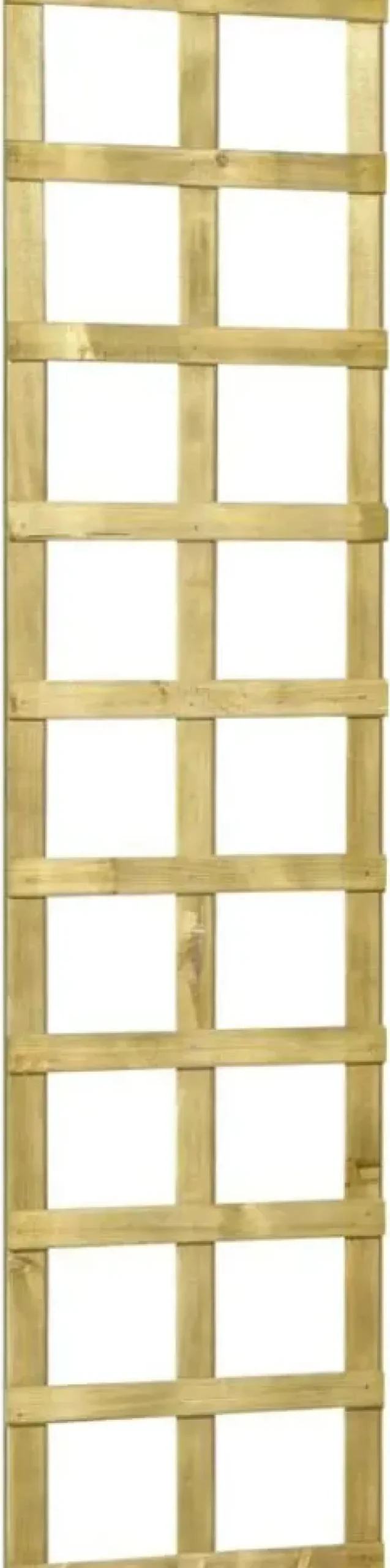 Woodvision grenen trellis 40x180cm groen geïmpregneerd