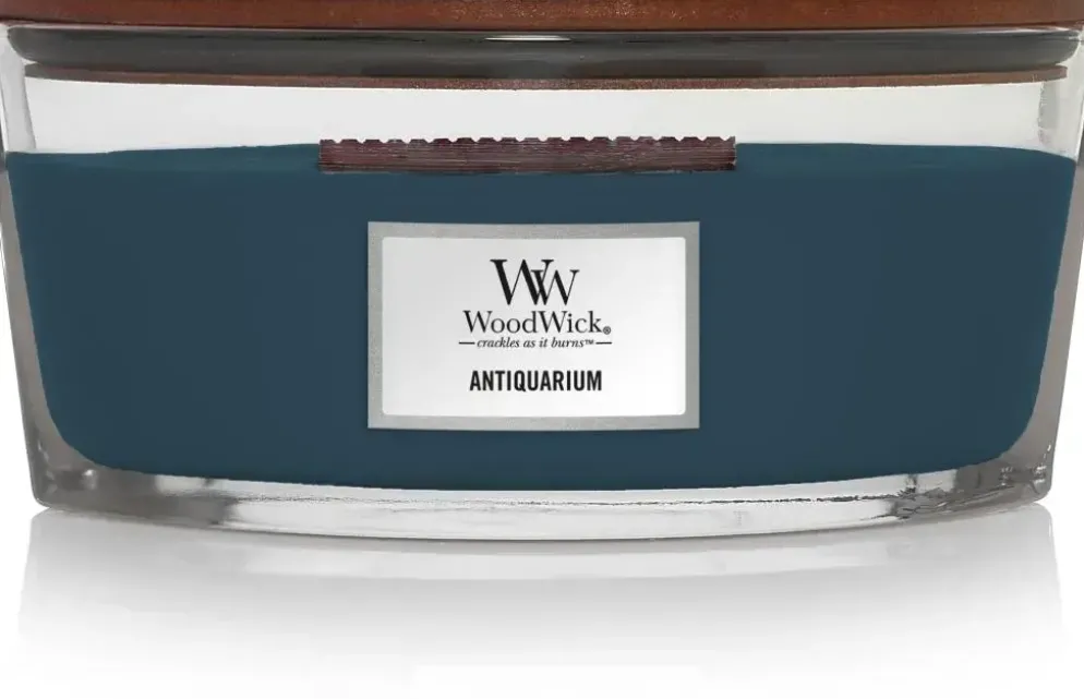 WoodWick ellipse candle antiquarium
